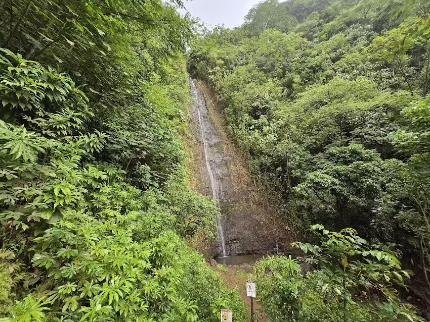 Best Oahu Tours by AYC