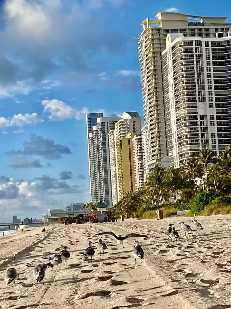 Best Travel and Tours