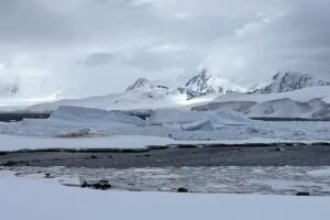 Betsy Miller &ndash; Marvelous Mouse Travels