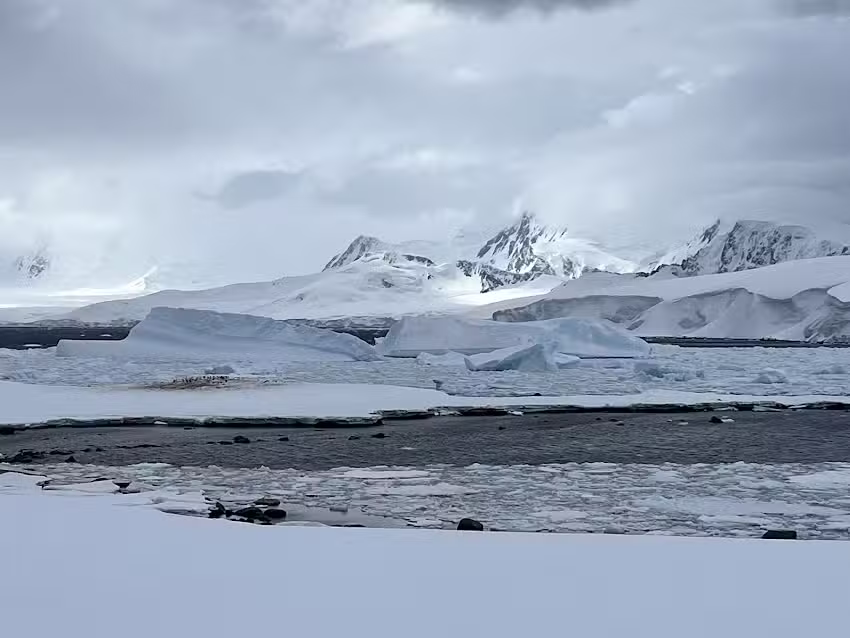 Betsy Miller &ndash; Marvelous Mouse Travels