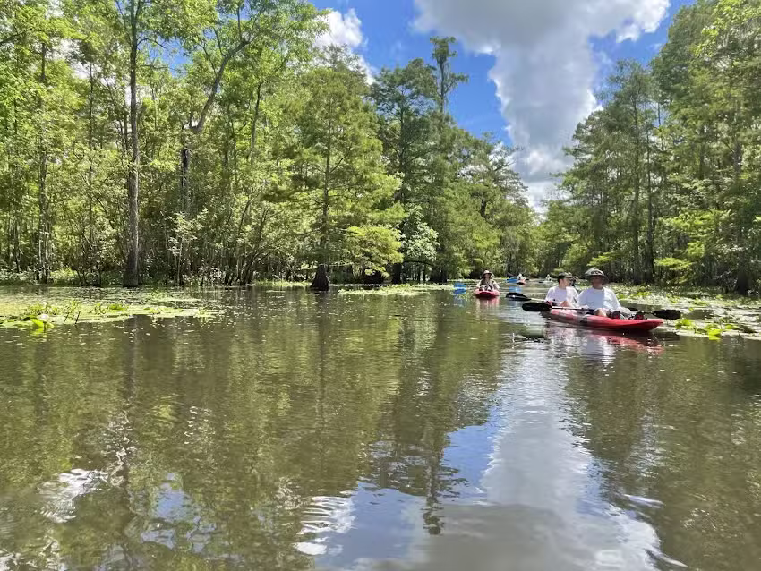 Beyond the Bayou Tours