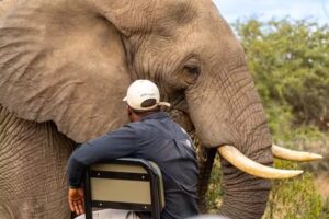 Beyond the Beaten Path Travel