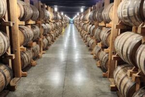 Bham Eat Drink Ride Party Bus Food Tour