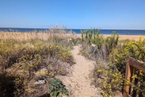 Big Blue Getaway on the Bay