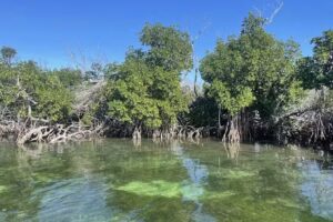 Big Pine Kayak Adventures Inc