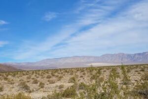 Big Pines Visitor Center Interpretive Site