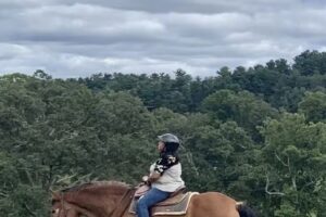 Biltmore Estate Carriage & Trail Ride Barns