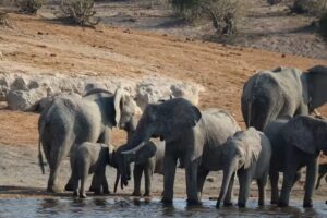 Bio Bio Expeditions Worldwide