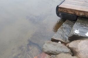 Birchwood Cottages on Loon Lake