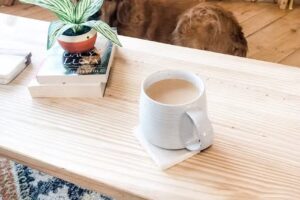 Birdsong Yurt-Woodstock/Bryant Pond Maine