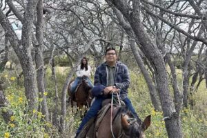 Bit & Bridle Boarding & Training Stables