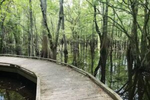 Black Bayou Lake National Wildlife Refuge Visitor Center