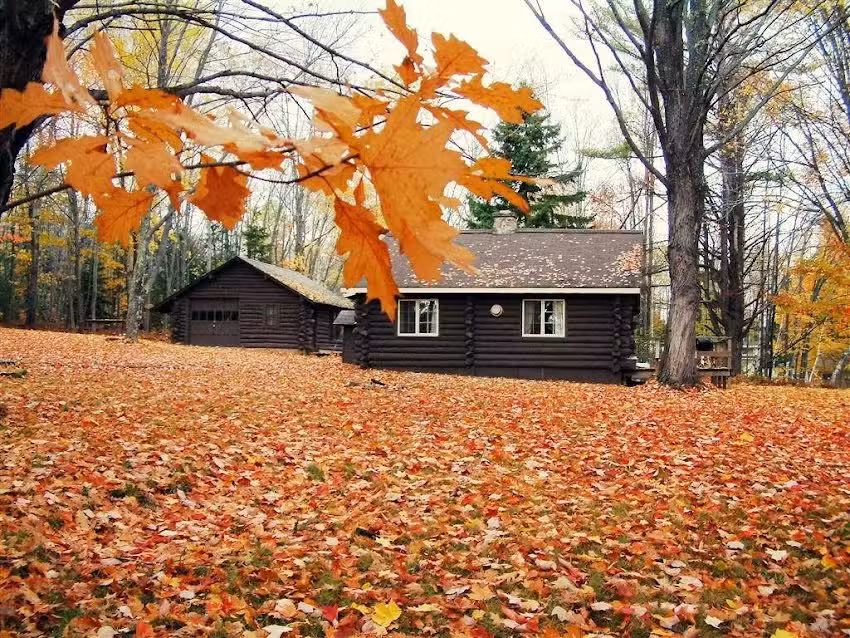 Black Bear Cabin