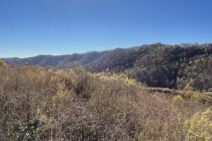 Black Gold Off-Road Tours