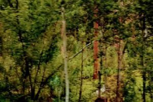 Black Hills South Dakota Cabins