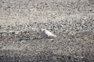 Black Mesa State Park Visitor Center