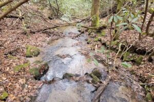 Black Rock Mountain State Park