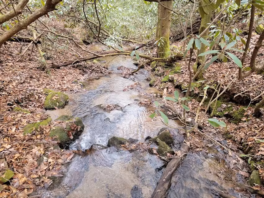 Black Rock Mountain State Park