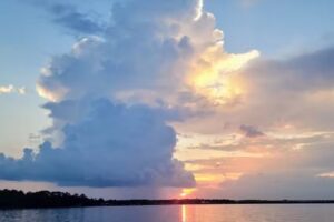 Blackwater Bay Tours