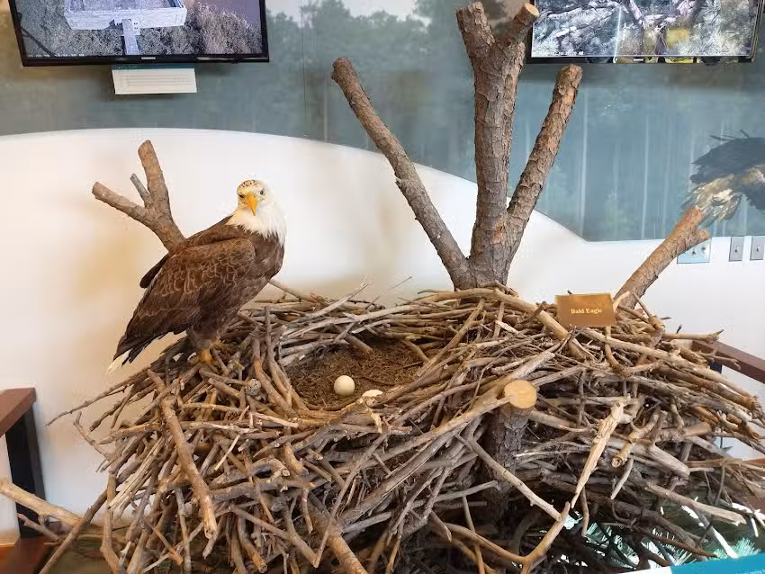 Blackwater National Wildlife Refuge Visitor Center