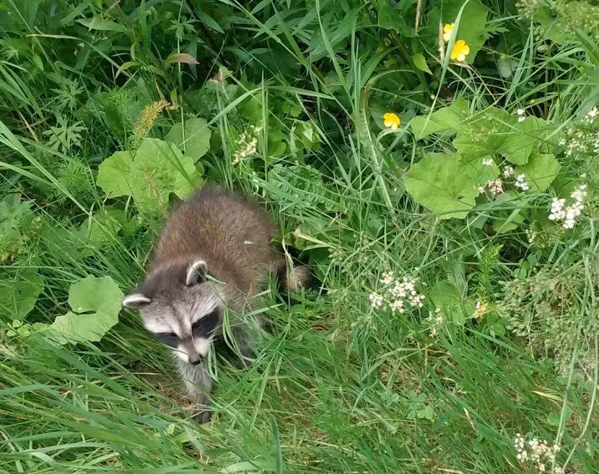 Blaine Country Cabins