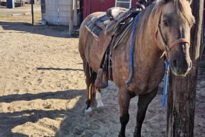 Blanco Brothers Ranch