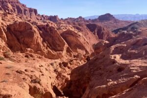 Bliss Travel Service