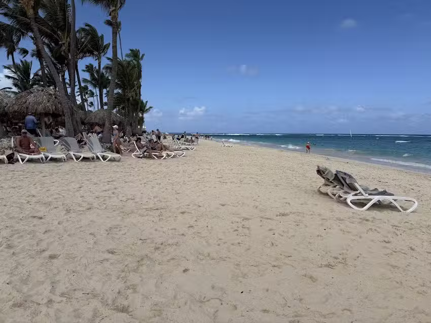 Blondie&rsquo;s Escapes