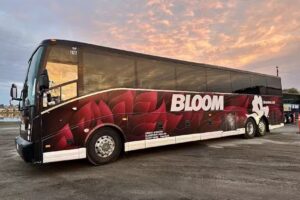 Bloom Tour and Charter Services
