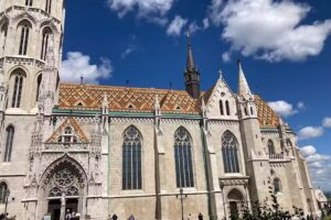 Blue Dasher Journeys – Houston Travel Agency