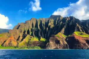 Blue Dolphin Charters