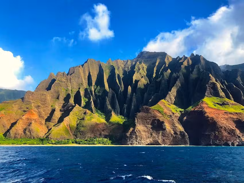 Blue Dolphin Charters