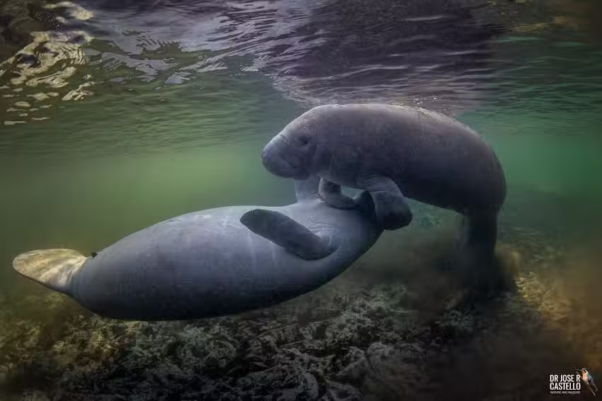 Blue Heaven River Tours