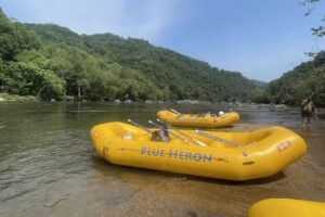 Blue Heron Whitewater