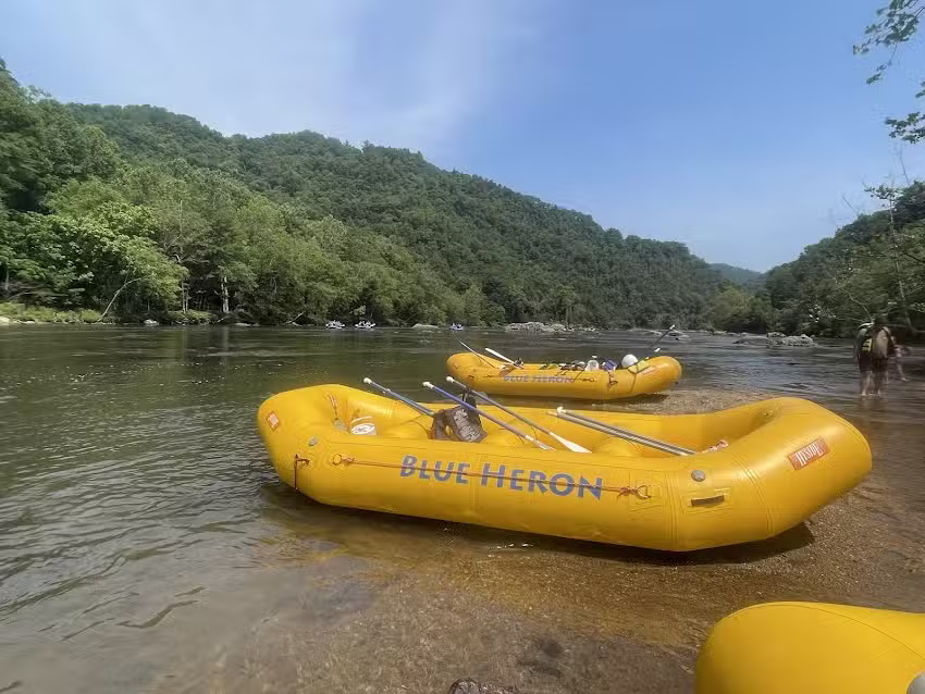 Blue Heron Whitewater