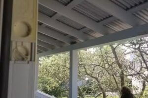 Blue Mountain Breeze