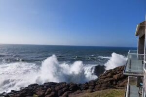 Blue Pacific Vacation Rentals