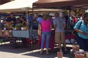 Blue Ridge Highlands