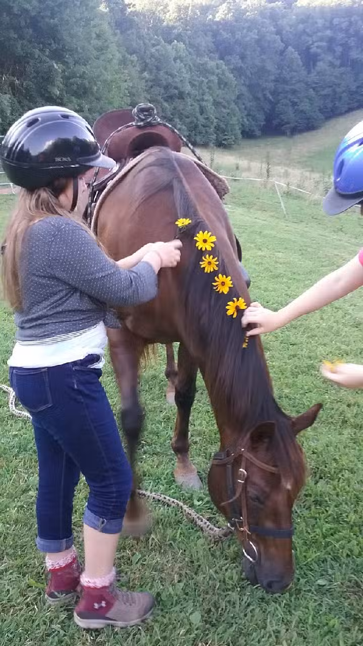 Blue Ridge Horse Adventures, Inc.