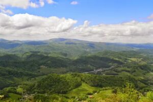 Blue Ridge Mountain Rentals