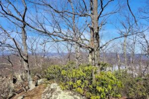 Blue Ridge Mountain Retreat