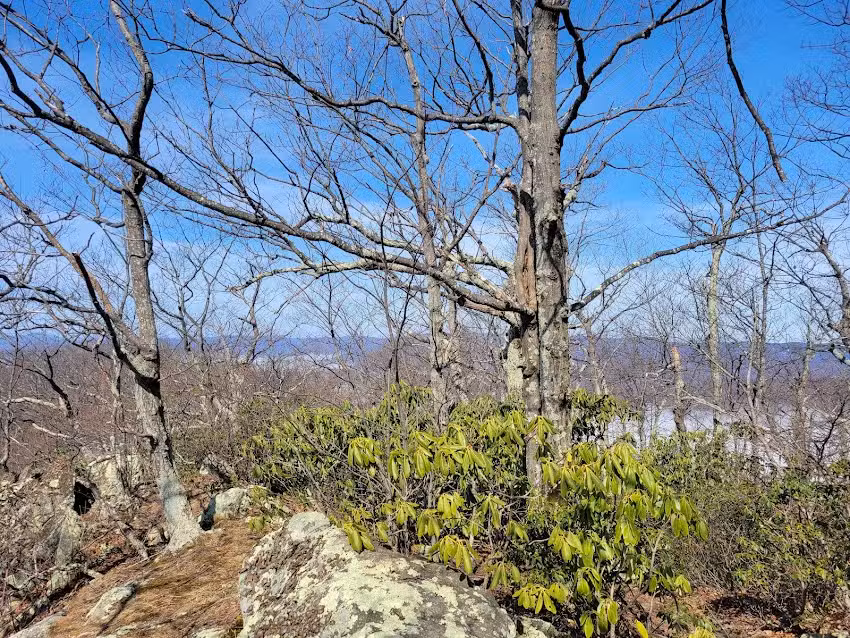 Blue Ridge Mountain Retreat