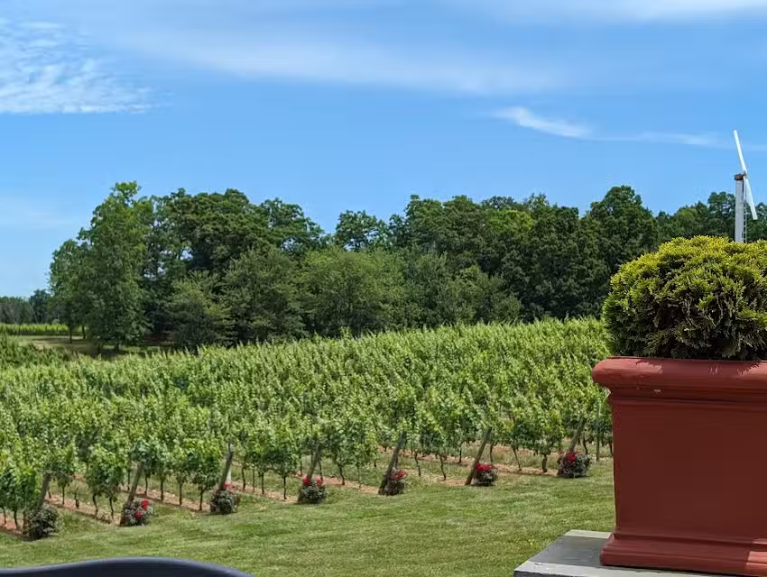 Blue Ridge Wine Excursions