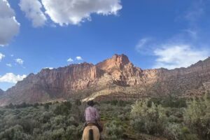 Blue Sage Adventures, LLC