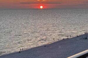 Blue Swell Rentals and Real Estate