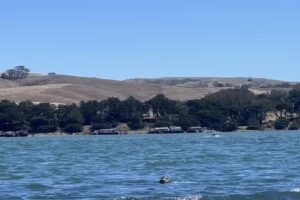 Blue Waters Kayaking