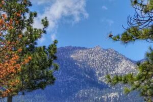 Bluebird Cottage Inn