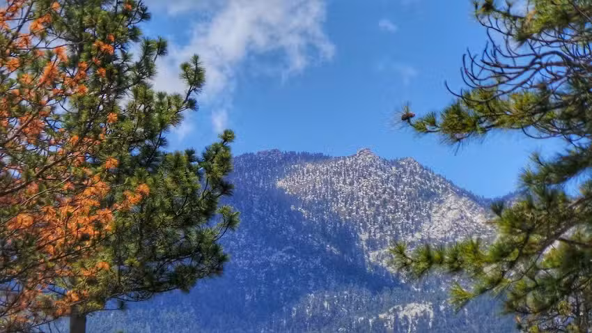 Bluebird Cottage Inn