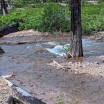 Bob Marshall Wilderness Outfitters