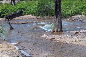 Bob Marshall Wilderness Outfitters